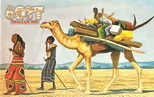 6O3T Somalia (2025)