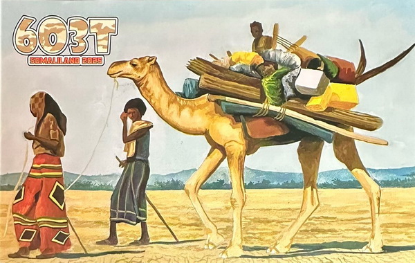 QSL 6O3T